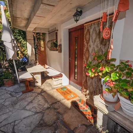 Miro Novigrad Istria